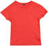 Tommy Hilfiger Essential Organic Cotton T-Shirt (KB0KB04140) apple red heather
