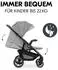 Hauck Shop N Care grau