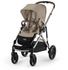 almond beige (taupe frame)