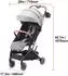 VEVOR Buggy dunkelgrau