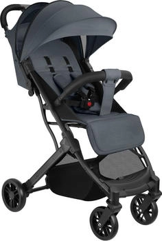 TecTake Buggy Finn anthrazit