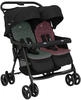Zwillingsbuggy