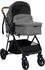 vidaXL 2-in-1 Kinderwagen Hellgrau und Schwarz Stahl