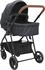 vidaXL 2-in-1 Kinderwagen Anthrazit und Schwarz Stahl