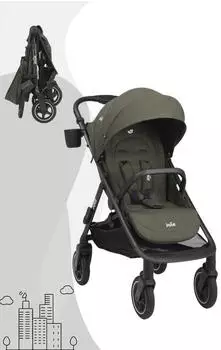 Joie Mydrift fern