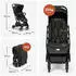Hauck Fly N Care Black