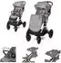 Lorelli Storm Buggy PU-Räder, Sonnendach, grau/schwarz