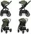 Lorelli Lora Kombi-Kinderwagen, faltbar, grün