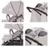 Lorelli DUO Zwillings-/Geschwisterbuggy, klappbar, Alurahmen, grau (10021542506)
