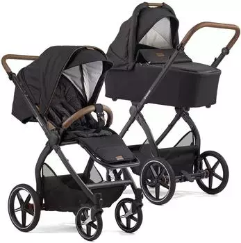 Gesslein FX4 Swing 2in1 Kinderwagen-Set mit Babywanne Panorama Lyx (1211106653653)