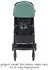 Graco Myavo mint
