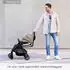 Graco Myavo mint