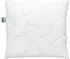 Frankenstolz Klima Active Plus Kissen gesteppt - weiß - 80x80 (200+750 g)
