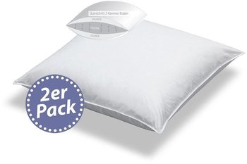 BettwarenShop Doppelpack 3-Kammerkissen Exclusiv Füllung Aussen 100% Daunen 2x 40x80 cm