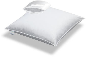 BettwarenShop Doppelpack 3-Kammerkissen Exclusiv Füllung Aussen 100% Daunen 2x 80x80 cm