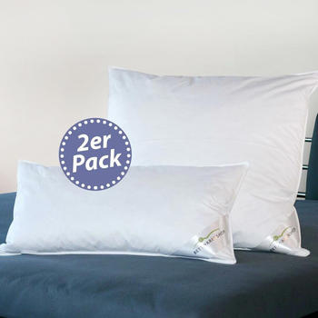 BettwarenShop Federkissen Comfort Doppelpack, 85% Federn, 15% Daunen 40x60 cm