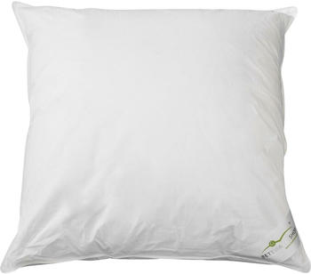 BettwarenShop Daunenkissen Exclusiv 60% Daunen, 40% Federn 40x80 cm