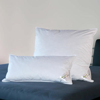 BettwarenShop 3-Kammer Daunenkissen Comfort Doppelpack 2x 70x90 cm