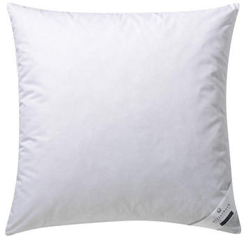 billerbeck Gabriela 30 60x80 cm für Allergiker weich billerbeck Gabriela 30 60x80 cm für Allergiker weich