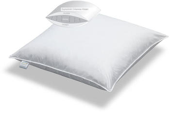 BettwarenShop 3-Kammerkissen Exclusiv Aussen 100% Daunen 80x80 cm