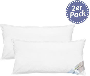 BettwarenShop Doppelpack Federkissen Comfort 100% Federn 40x80 cm
