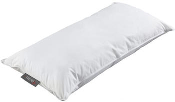 Badenia Trendline Visco 3 Kammer Nackenstützkissen Größe 40x80 cm
