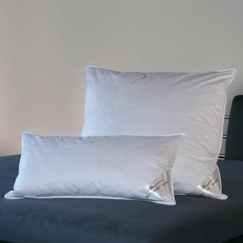BettwarenShop Doppelpack 3-Kammer-Kissen Premium Aussen 90% Daunen, 10% Federn 2x 40x80 cm