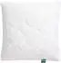 F.a.n. Kopfkissen Chiemsee, 80x80