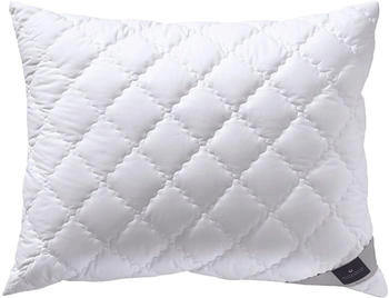 billerbeck 520 ALCANDO® 90x70cm billerbeck 520 ALCANDO® 90x70cm