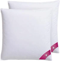 RIBECO Federkissen "Johanna Kopfkissen 1-tlg. oder 2-tlg.: 40x80 cm, 80x80 cm