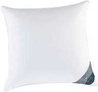 Haeussling 3-Kammer-Kopfkissen "GR&Ouml;NLAND, Kissen in 40x80 & 80x80 cm" F&uuml;llung: