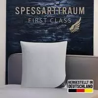 SPESSARTTRAUM Daunenkissen "FIRST CLASS, Kopfkissen 1-tlg. oder 2-tlg. 40x80...