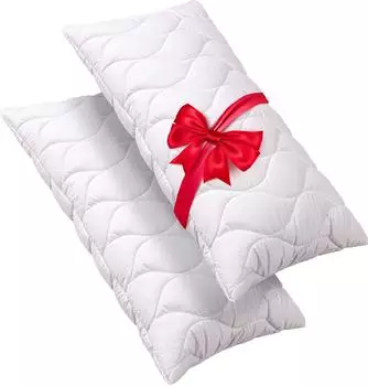 JohnCotton Microfaserkissen 2f&uuml;r1 80x40cm