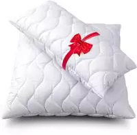 John Cotton Microfaserkissen "2f&uuml;r1, Kopfkissen, ein Kissen gratis, 40x80 cm,
