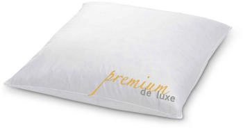 Hans Kruchen Down Design Premium de Luxe Dreikammerkissen 60x60cm