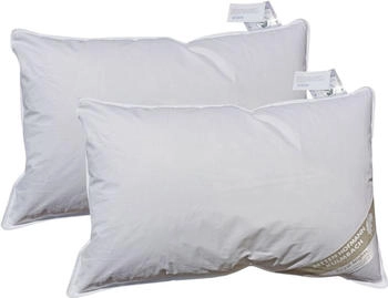 Betten Hofmann Pusta 60x40cm 2 Stk. (42322)