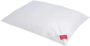 Hefel Platinum Down 80x40cm medium
