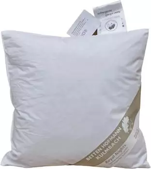 Betten Hofmann Daunenkissen 45x45cm, 100% Daunen, 250g (45x45)