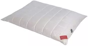 Hefel Pure Bio Wool Kissen 40x60cm, beige (Bio Wool)