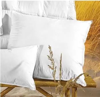 Sansibar Ocean Dream Kopfkissen Sensofill Soft Faser 80x80cm (116_41)