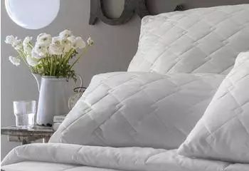 Centa-Star Royal Kissen 40x60cm