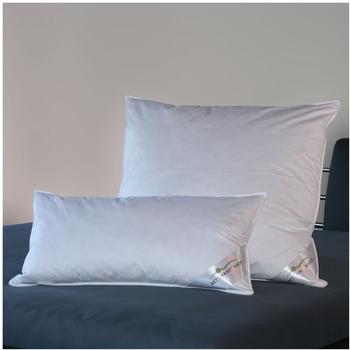 BettwarenShop Premium Dreivierteldaunen Kopfkissen 80x80cm
