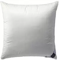 Billerbeck Daunen Kopfkissen Ambiente 80x80 cm