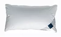 Billerbeck Daunen 3-Kammer-Kissen Nena 40x80 cm