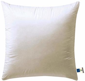 billerbeck Daunenkissen COSIDOWN NATURE - Organic 80x80cm