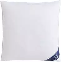 SPESSARTTRAUM G&auml;nsefederkopfkissen "Premium, Kopfkissen 2-tlg. 40x80 oder 80x80 cm"