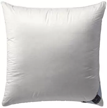 billerbeck Kissen Daune 305 Picco 80x80cm