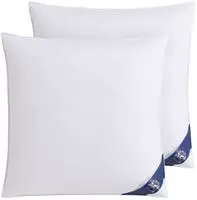 SPESSARTTRAUM Daunenkissen "FIRST CLASS, Kopfkissen 1-tlg. oder 2-tlg. 40x80 oder