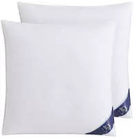 SPESSARTTRAUM G&auml;nsefederkopfkissen "Premium, Kopfkissen 2-tlg. 40x80 oder 80x80 cm"