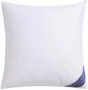 Excellent Bettwaren Excellent Venedig 1-tlg 100% Daunen 80x80cm